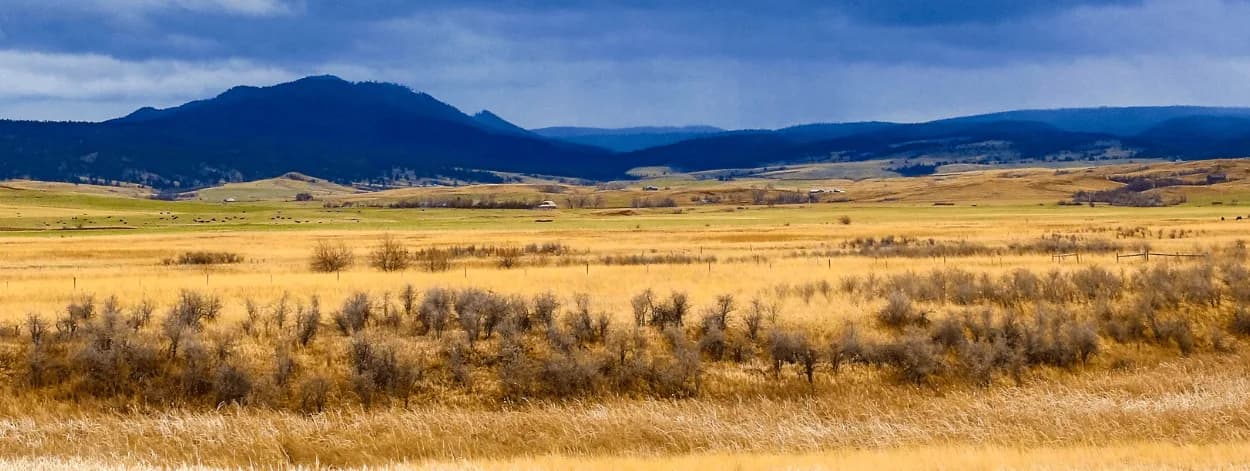 careers virtual prep wyoming